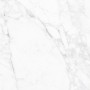 Patterned --and-- Statement White Medium Format 260x410 - 595x595 Porcelain for Wall/Floor; Finish - Natural